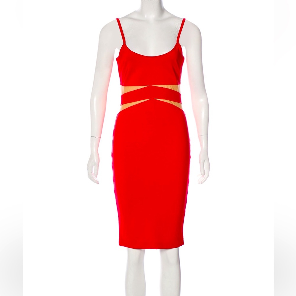 NWOT TORN- by Ronny Kobo designer dress